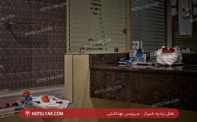 زندیه شیراز سرویس بهداشتی