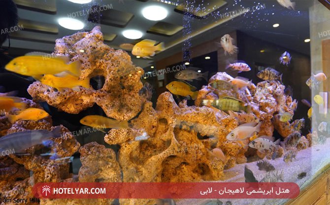 عکس هتل ابریشمی لاهیجان شماره 1