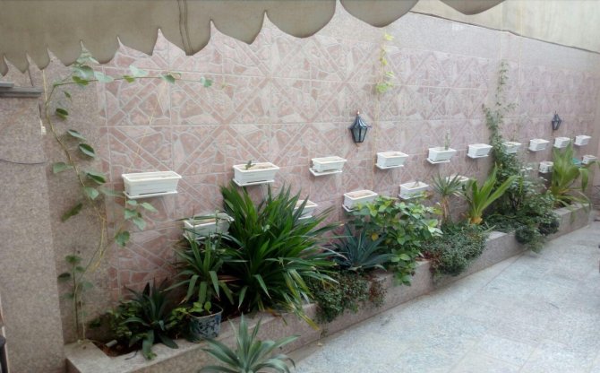 عکس هتل آپادانا بندرعباس شماره 14
