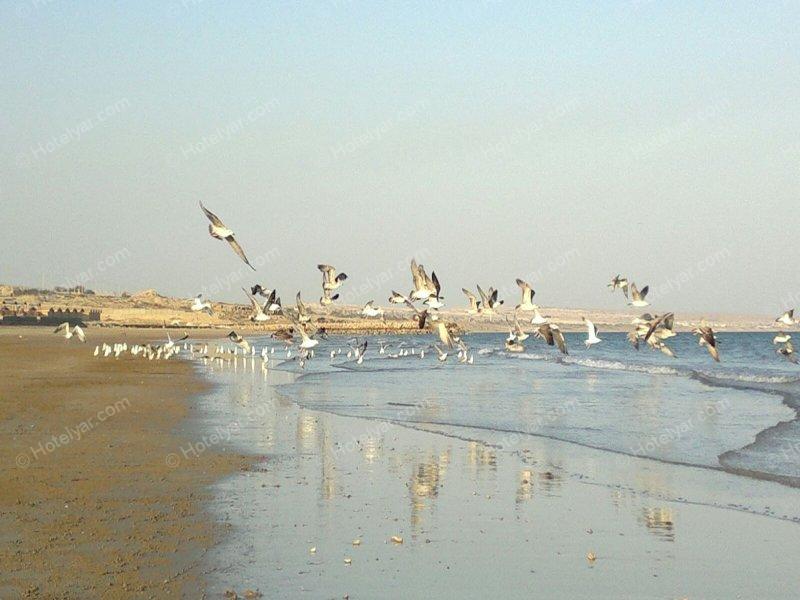 Golden Beach Hotel Gheshm photo 11